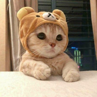 bearish