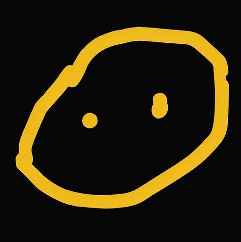 testicle