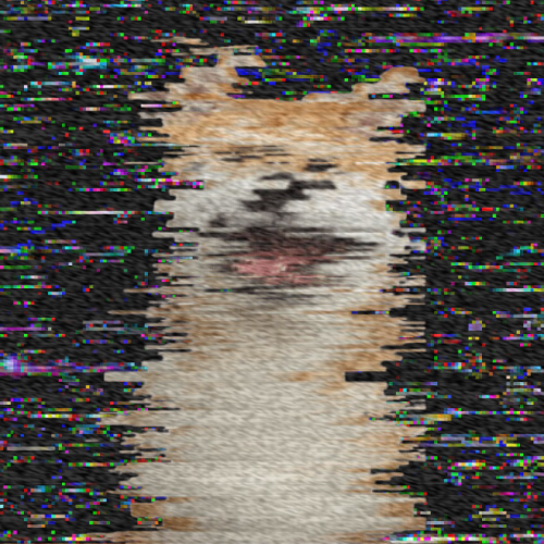 kitty