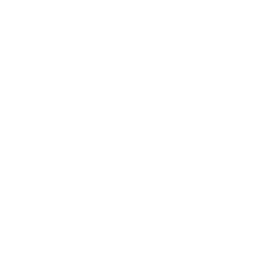 invisbol