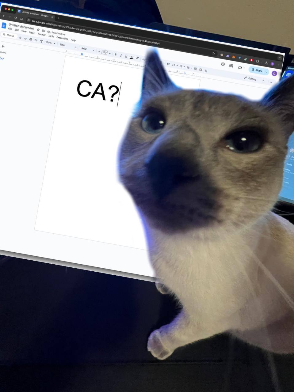 CA