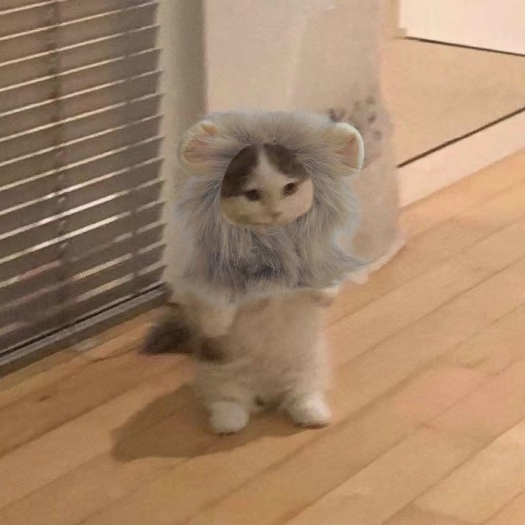 MICHILION