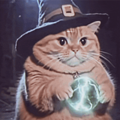 wizcat