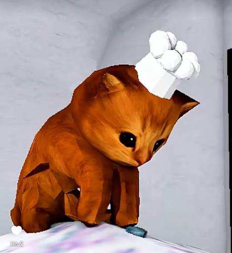 chef