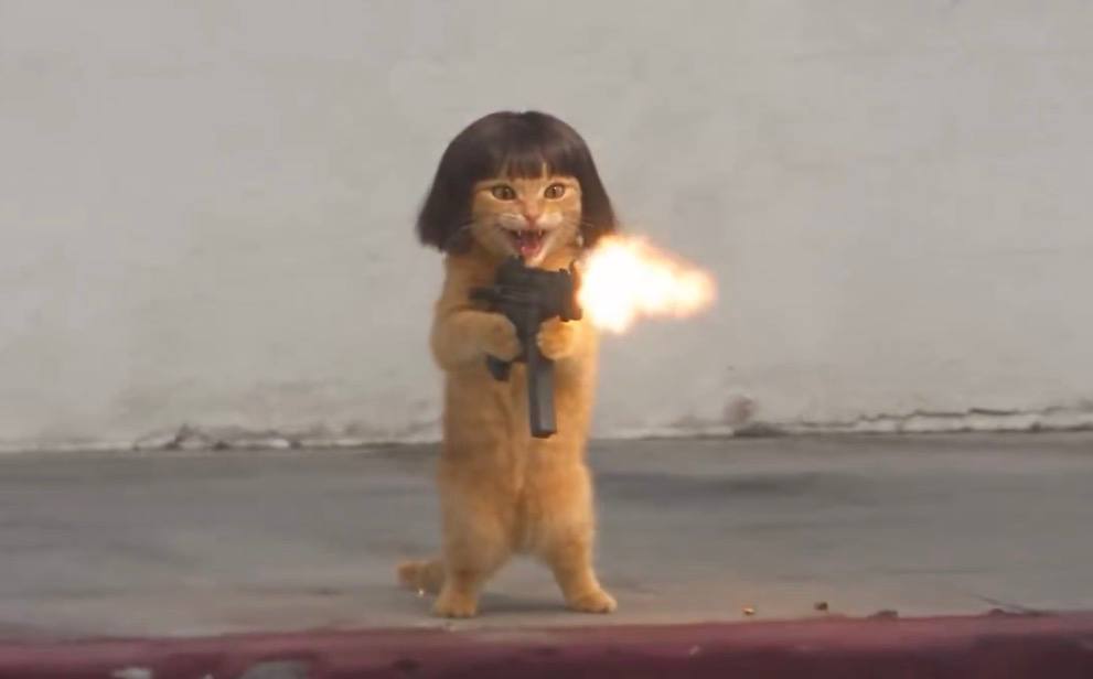 uzicat