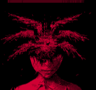 DLSNL