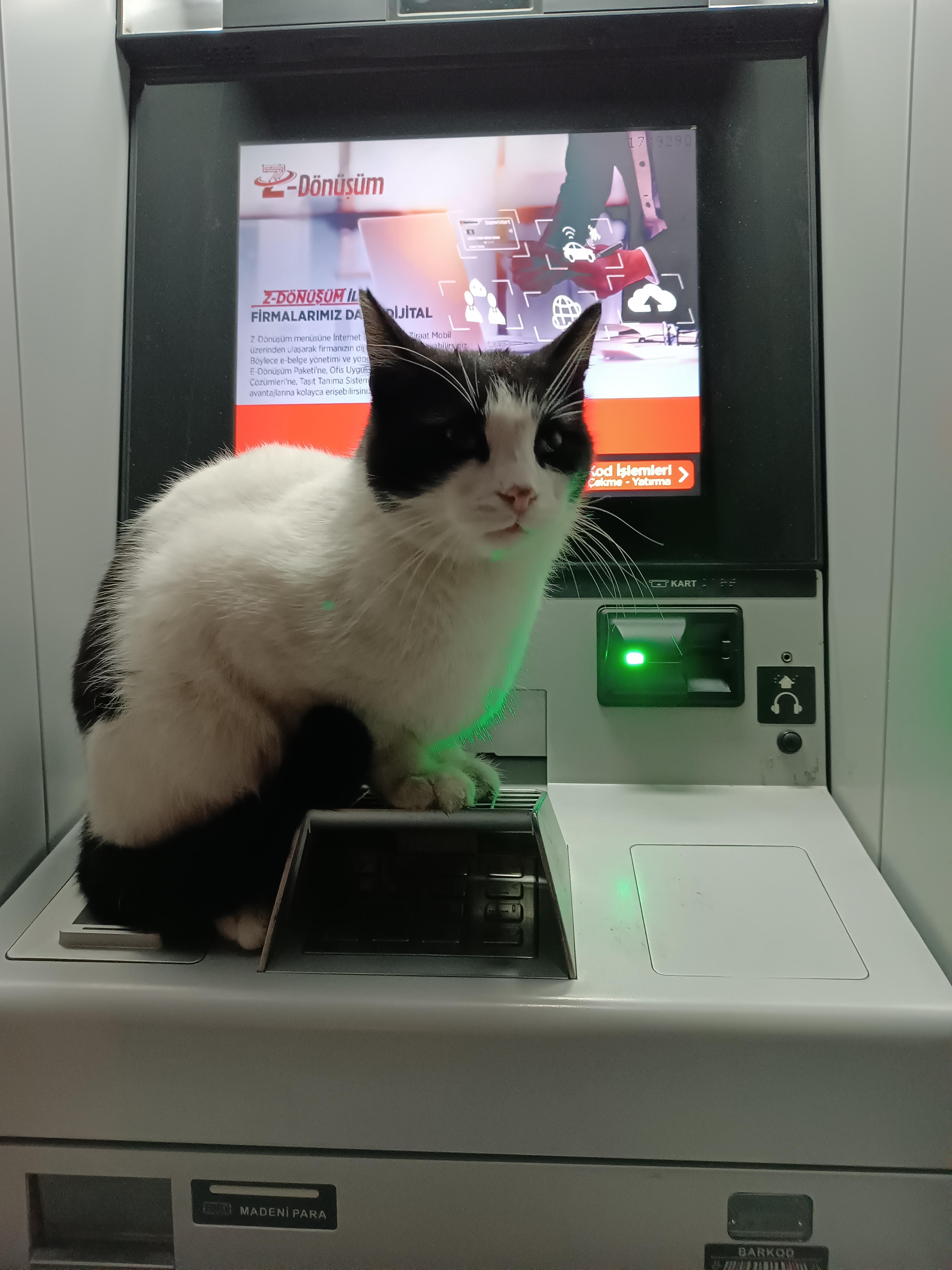 $CATM