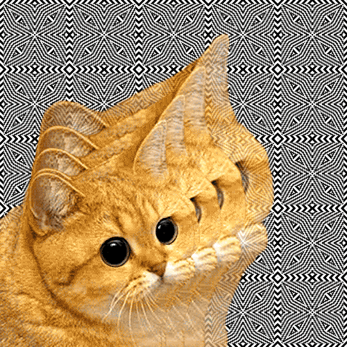 catlusion