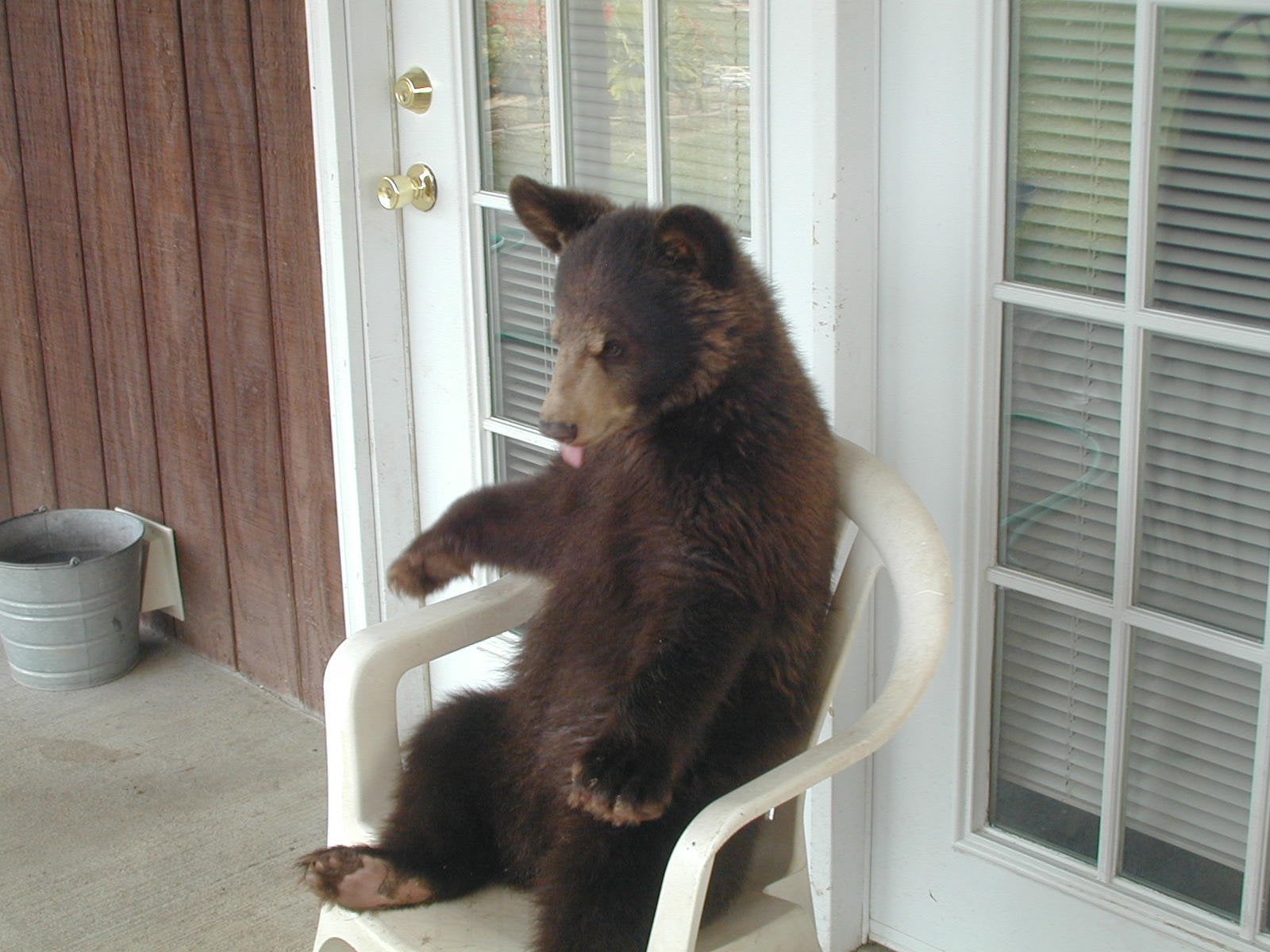 CHAIR