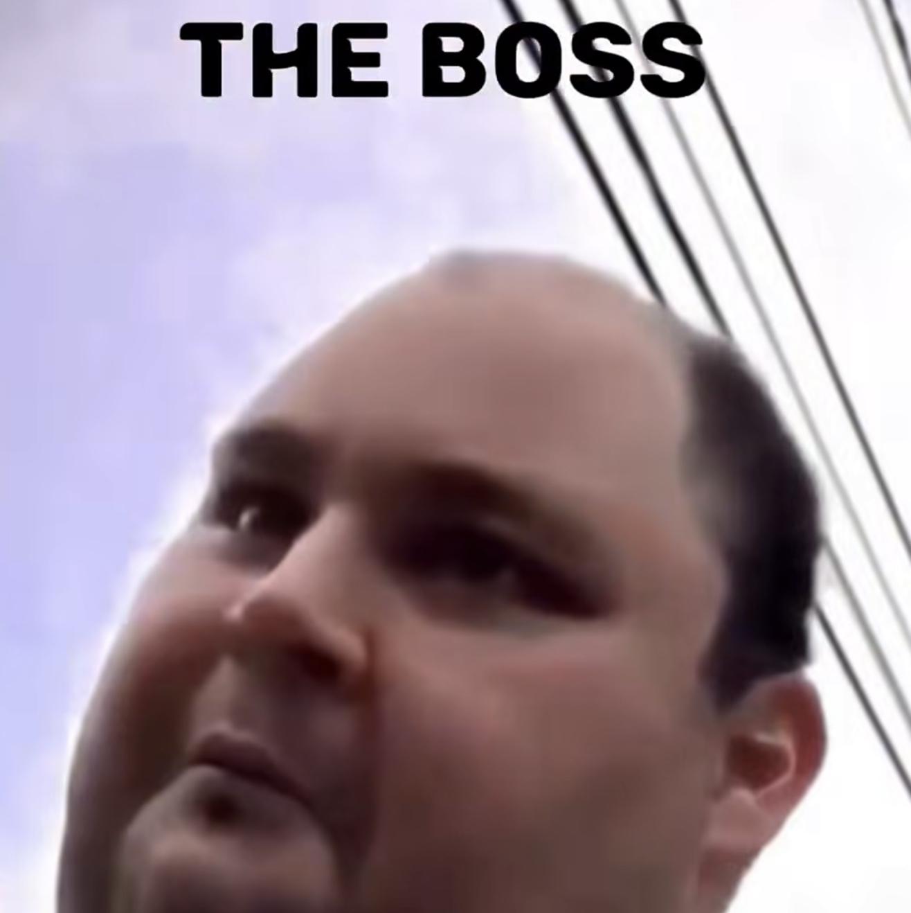 $bosS