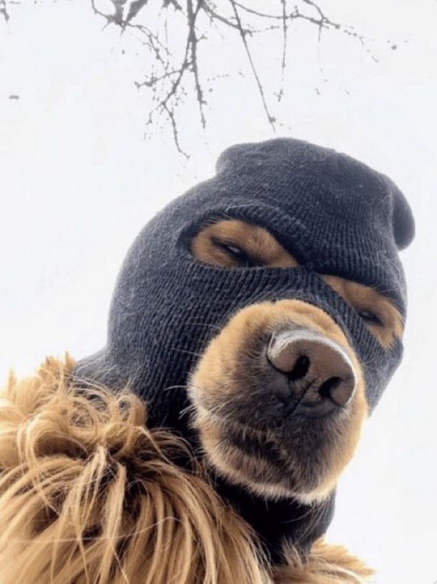 RUFF