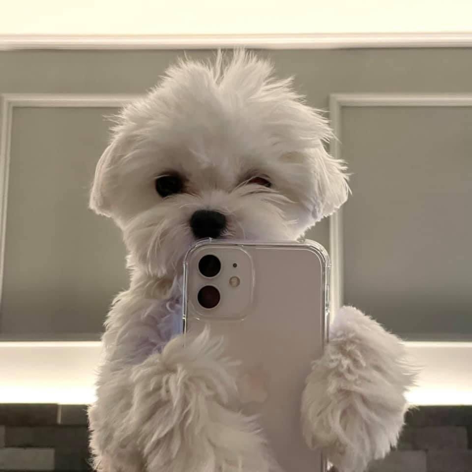 Selfie