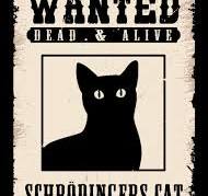 SQCAT