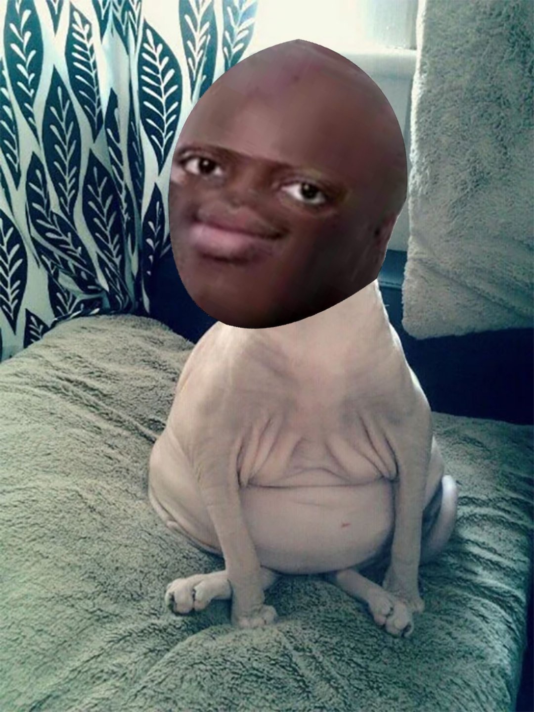buubu