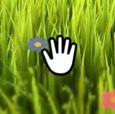 Grass