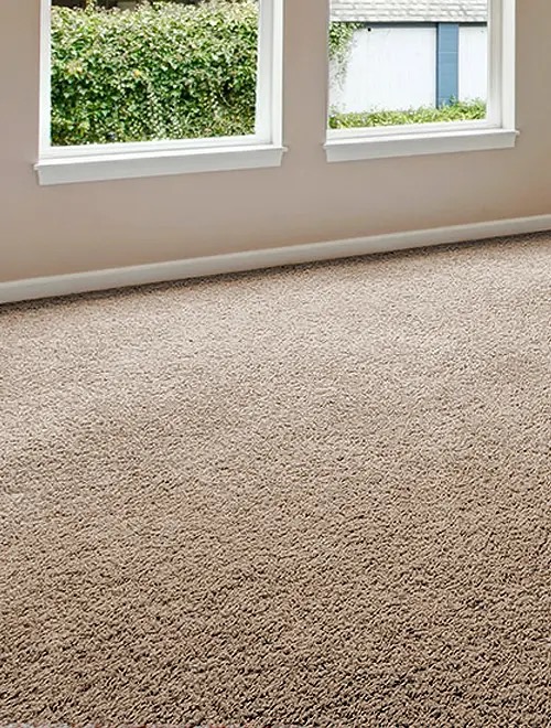 carpet