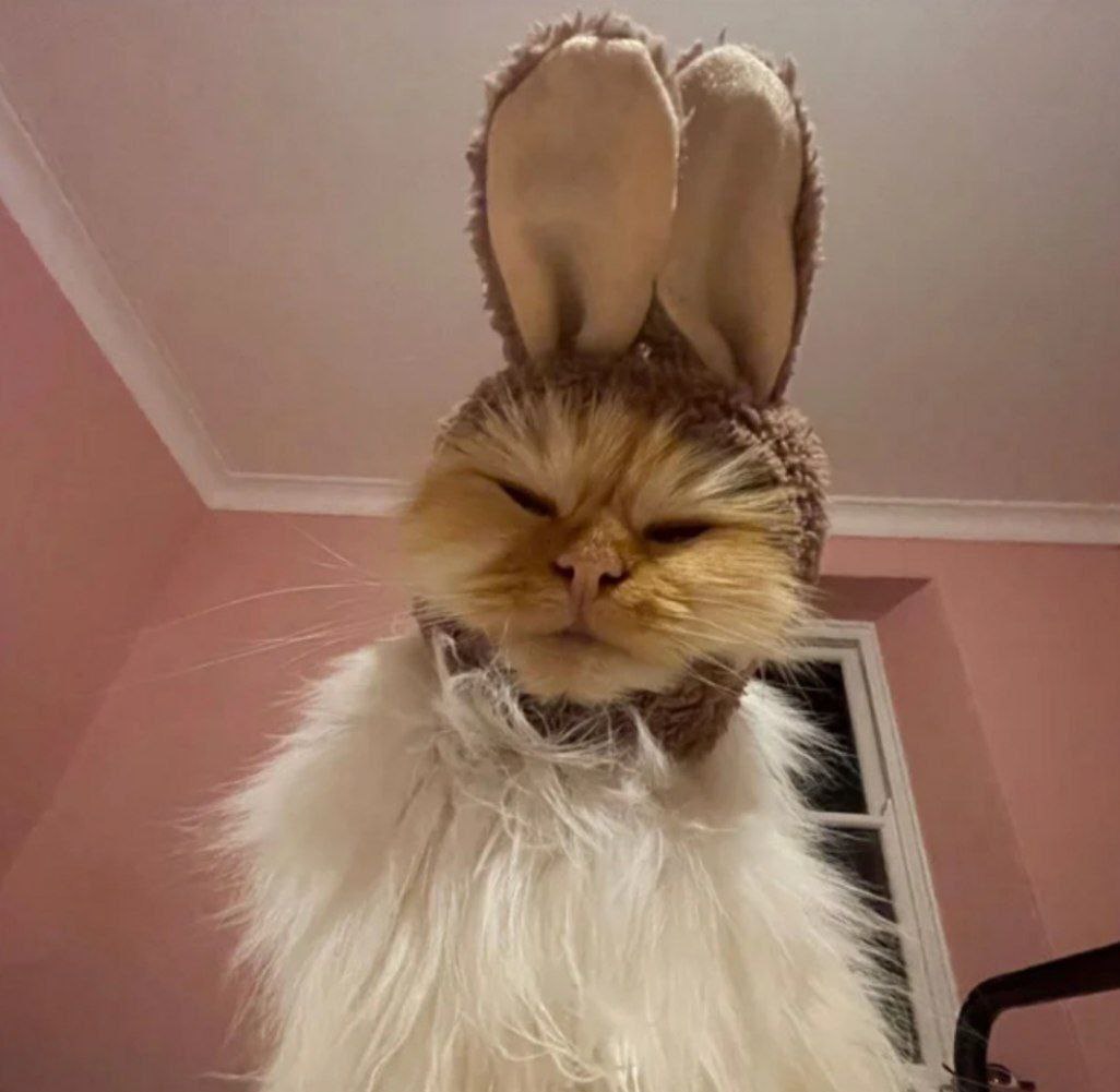 $RABCAT