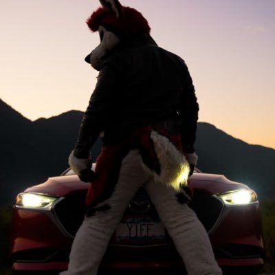 CENNYHUSKY