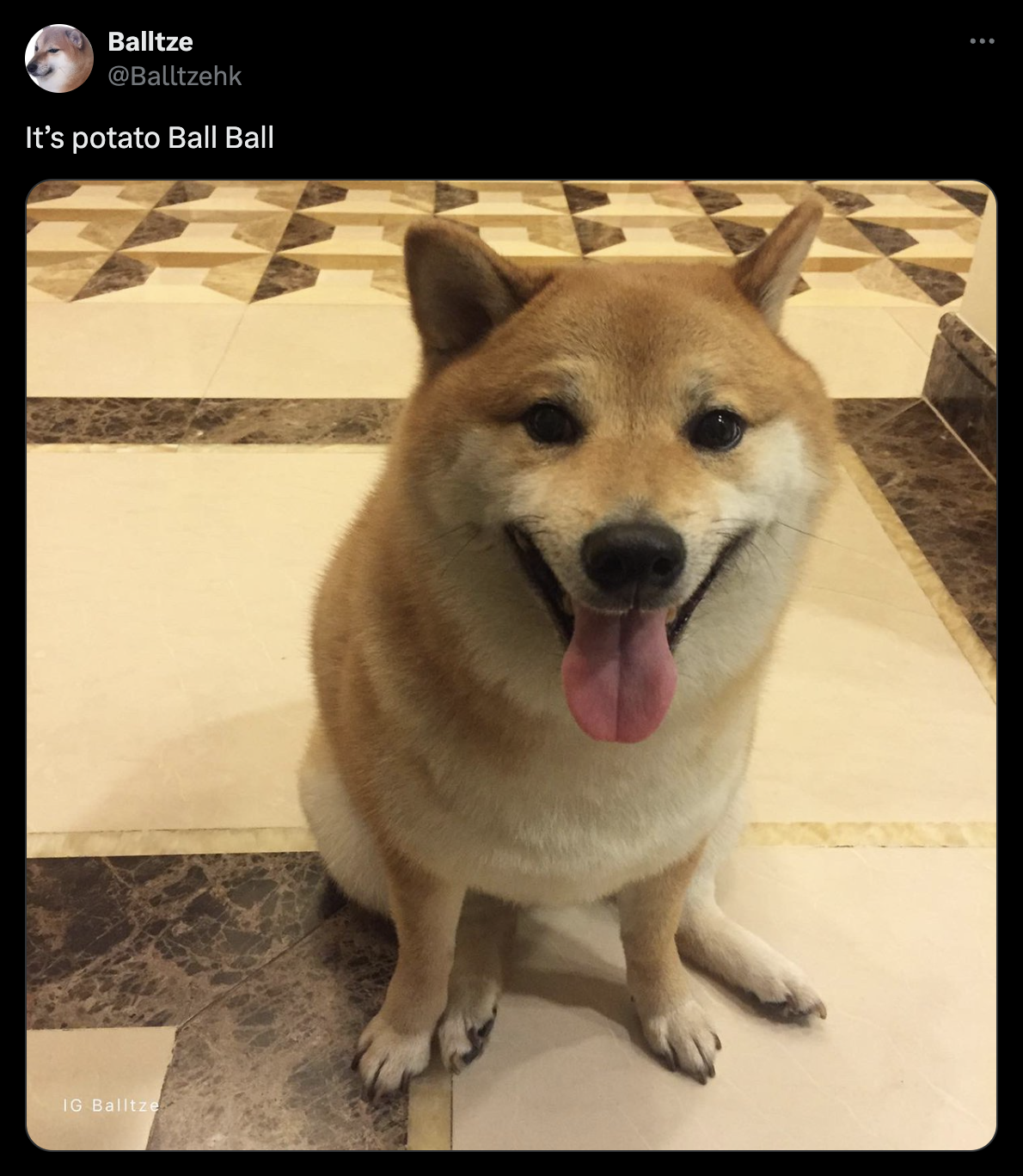 BALLBALL