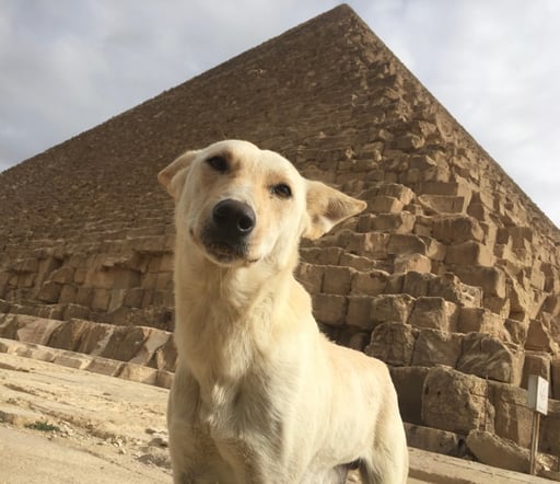 Giza