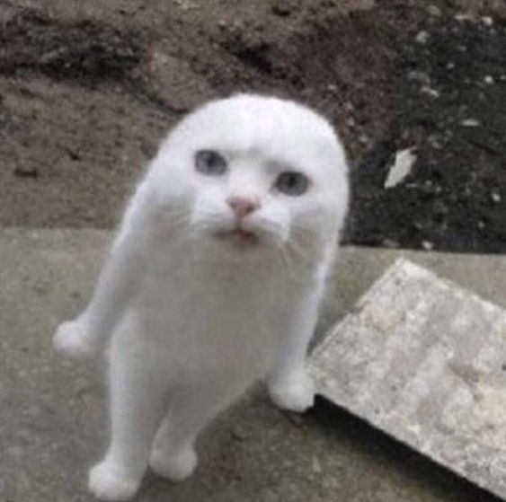 NOW