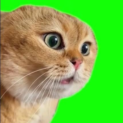 BOZAICAT