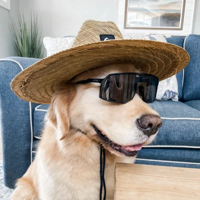 MAVERICK
