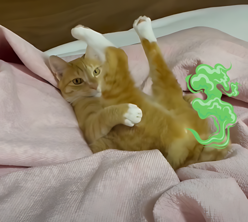 $CATDAGER