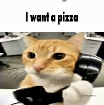 catcall