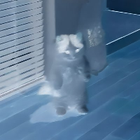 MUCHU