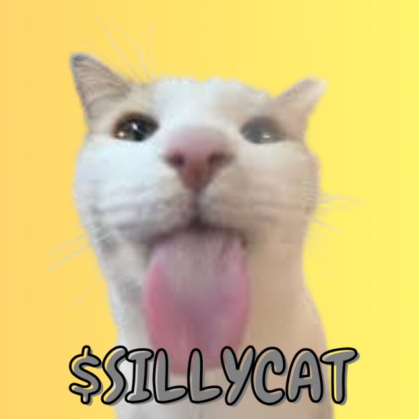 SILLYCAT