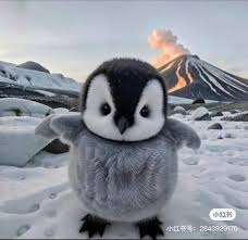 cutie