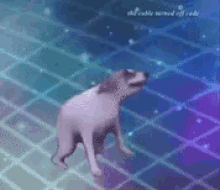 boogi