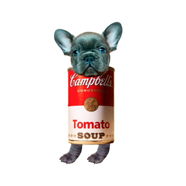 SOUP