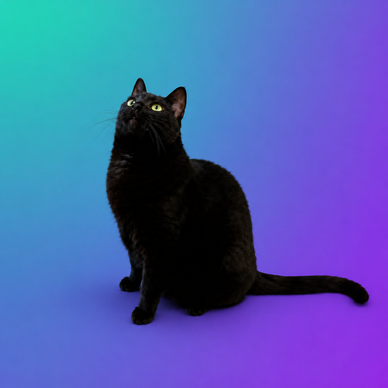 RCAT