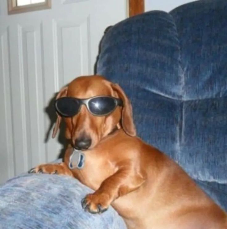 WEENY
