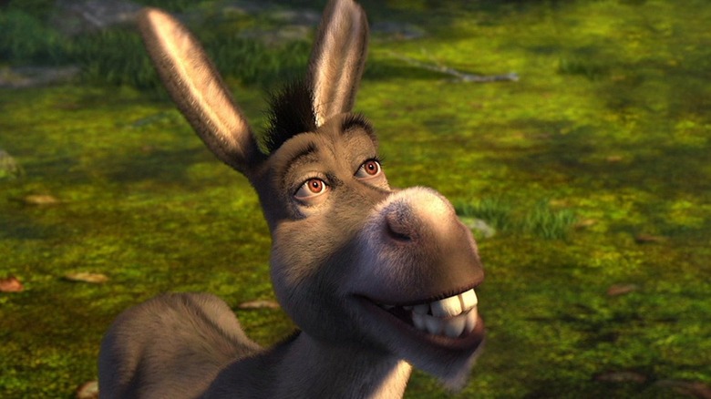 DONKEY
