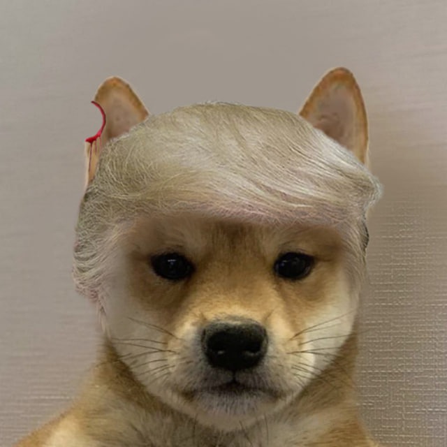 WIFNOEAR