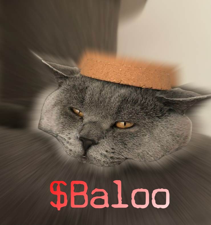 BALOO
