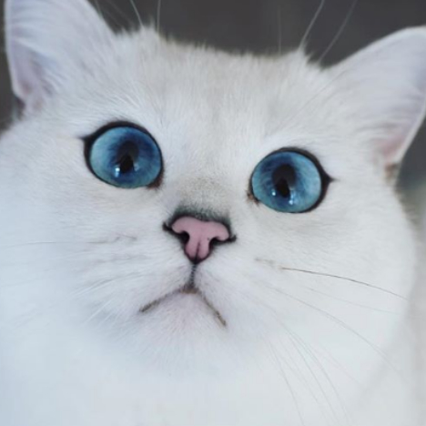 HER