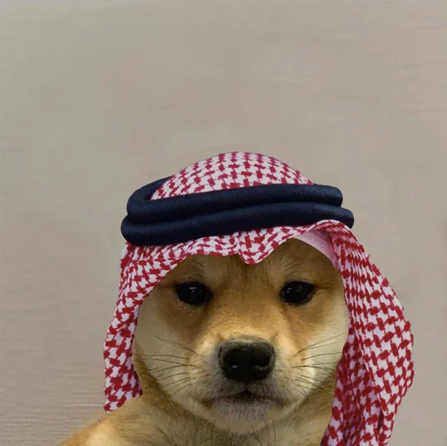 WifHabibi