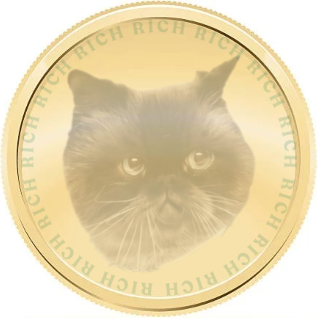 RICH