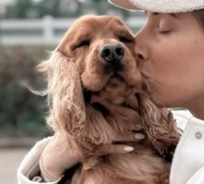 TEDDY