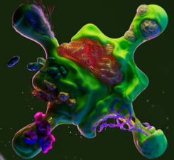 DeSci_2.0