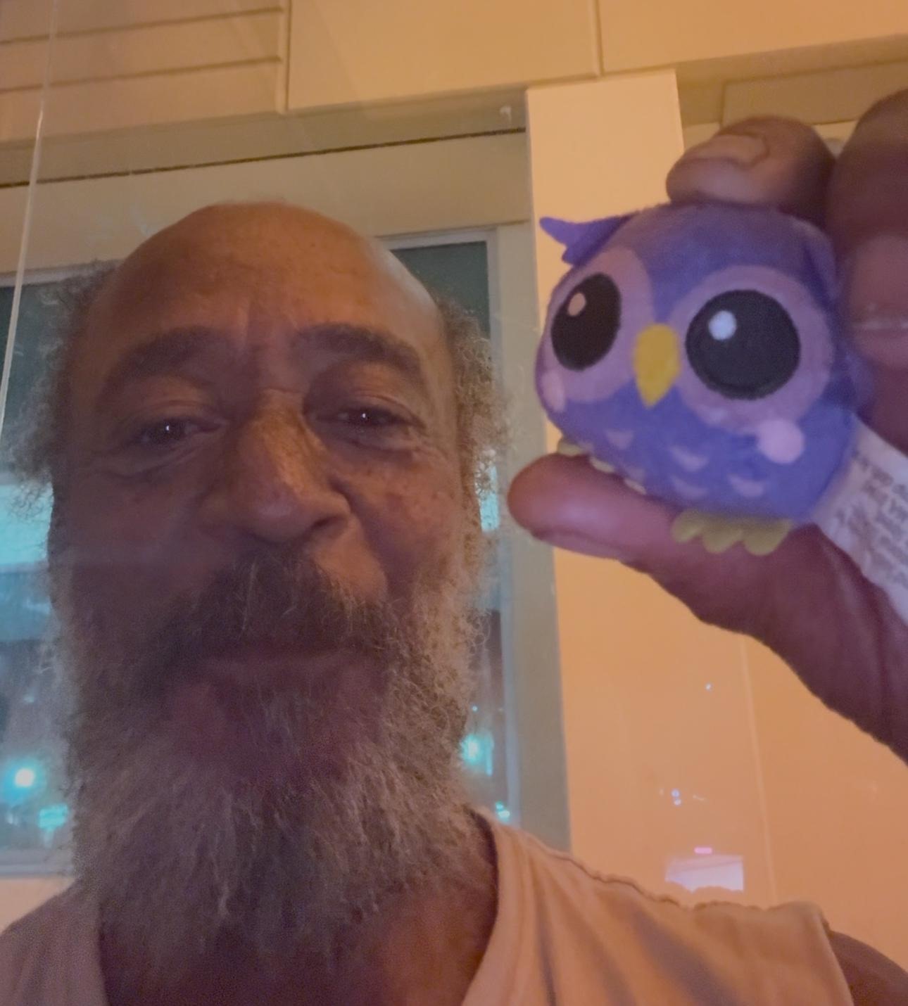 owl