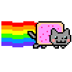 🐈🌈