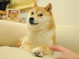 DOGE