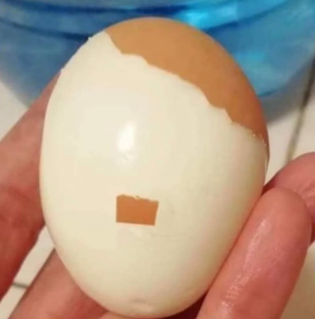 EGGDOLF