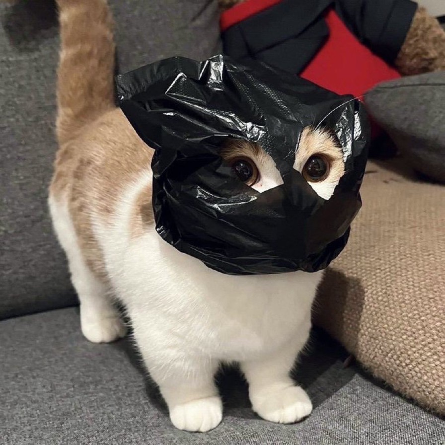 TCAT