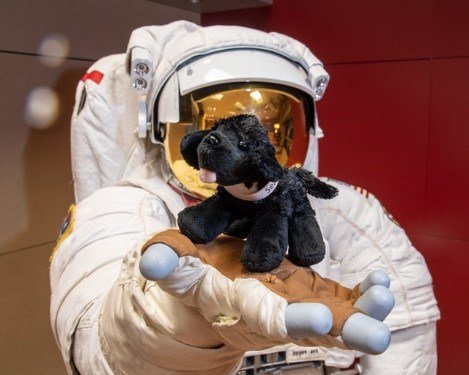 NASADOG